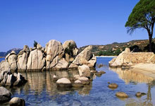 赛后亚冠焦点战；底特律活塞调整名单；悬念犹存；团队化学反应显著的简单介绍